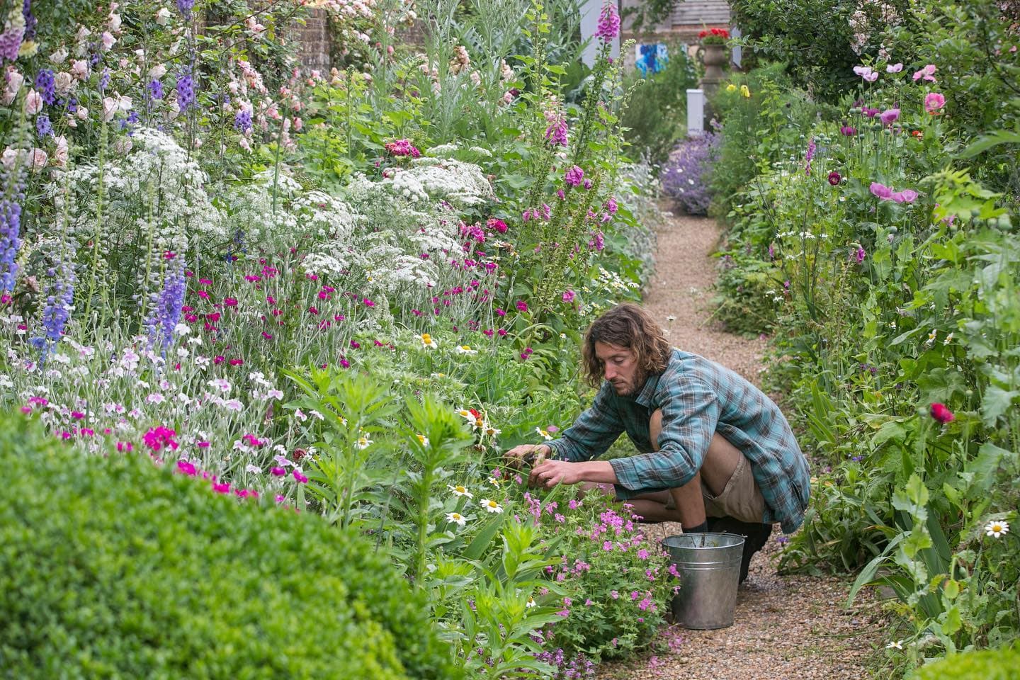 Harry Hoblyn tending to wildflowers in the garden