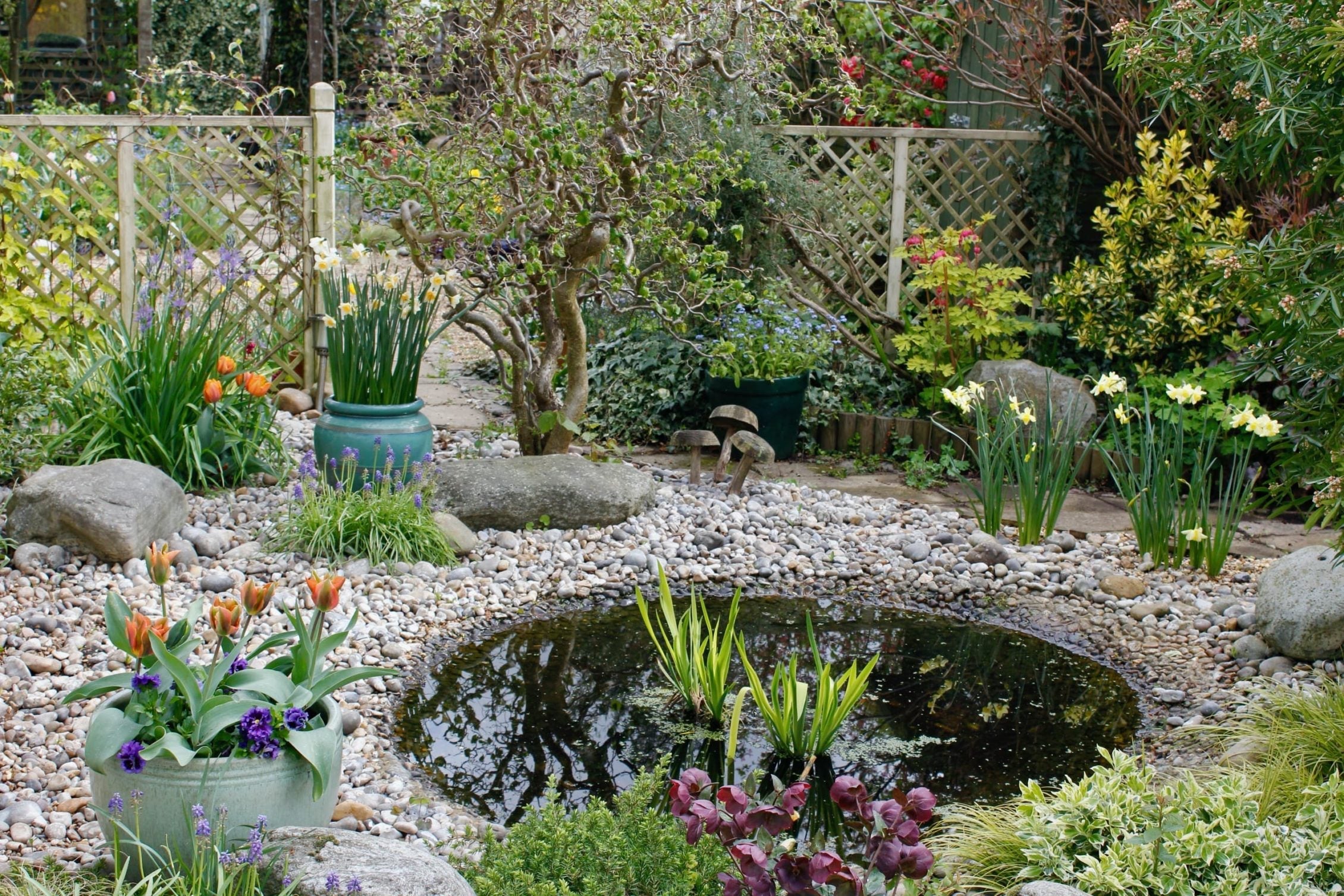 a pebble garden photographed by Zia with a pond in the middle