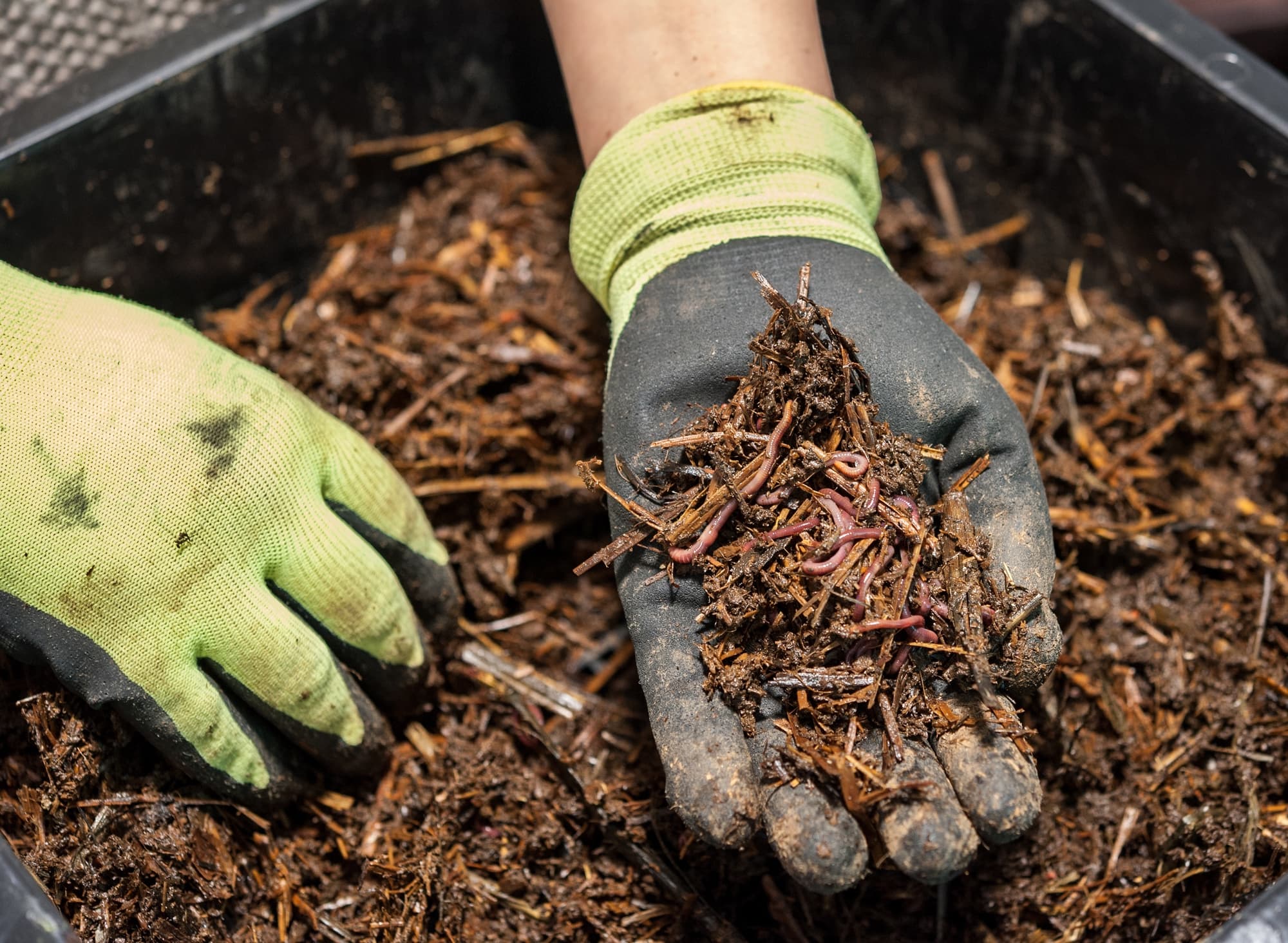 someone wearing a gardening glove grabbing a handful of compost for the garden