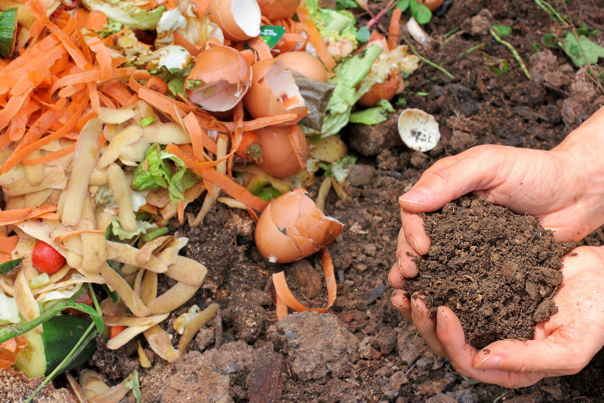 a hand holding a handful of compost over the top of some vegetable scraps and a pile of compost