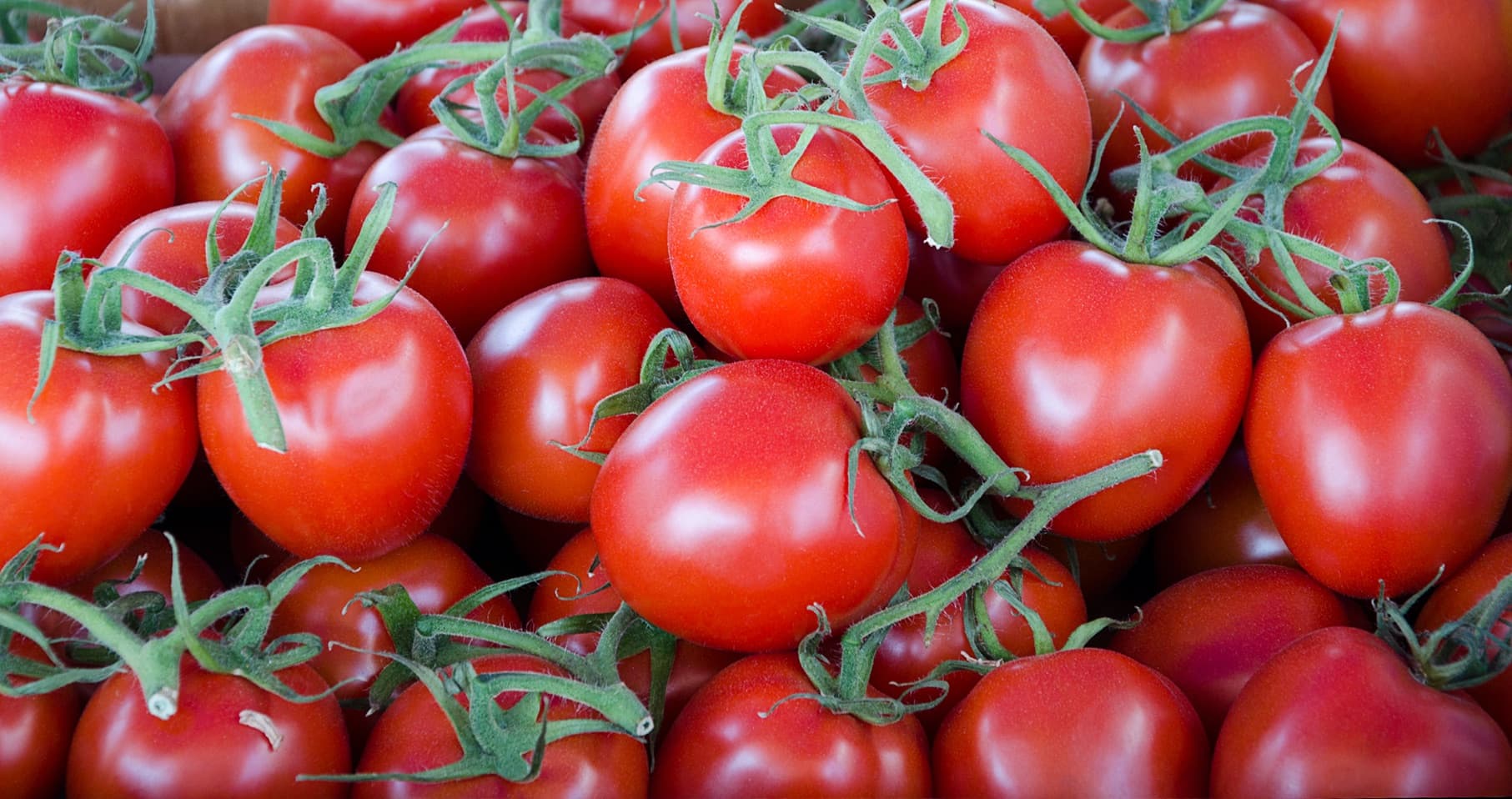 bunches of gardeners delight tomatoes