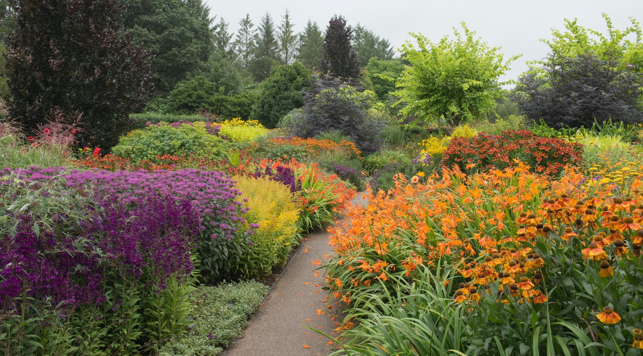 a path leading alongside a colourful herbaceous border with Crocosmia, Monarda and Coneflowers