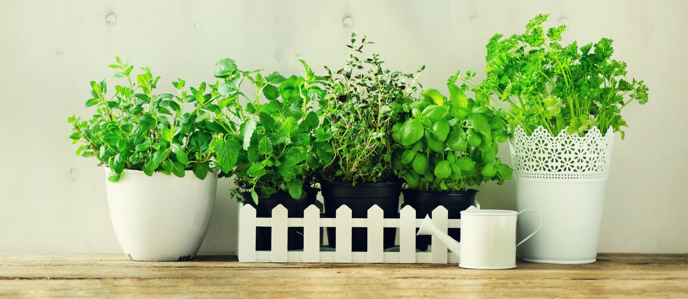 melissa, mint, thyme, basil, parsley in pots on an oak beam