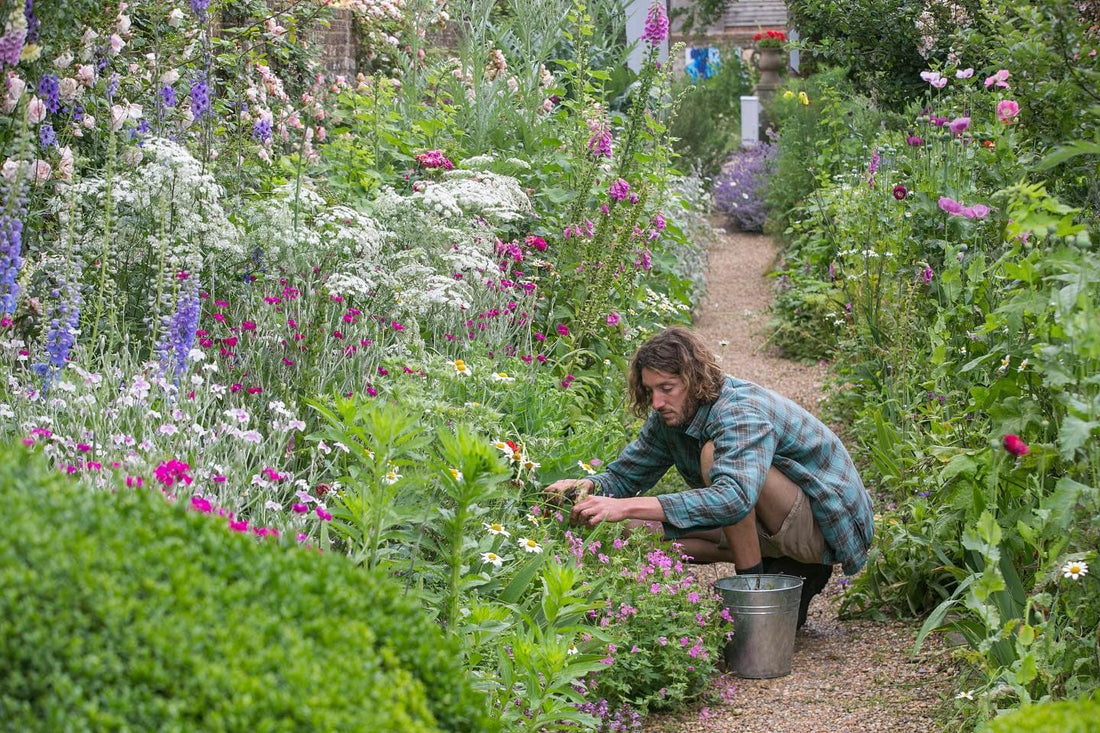 Harry Hoblyn tending to wildflowers in the garden