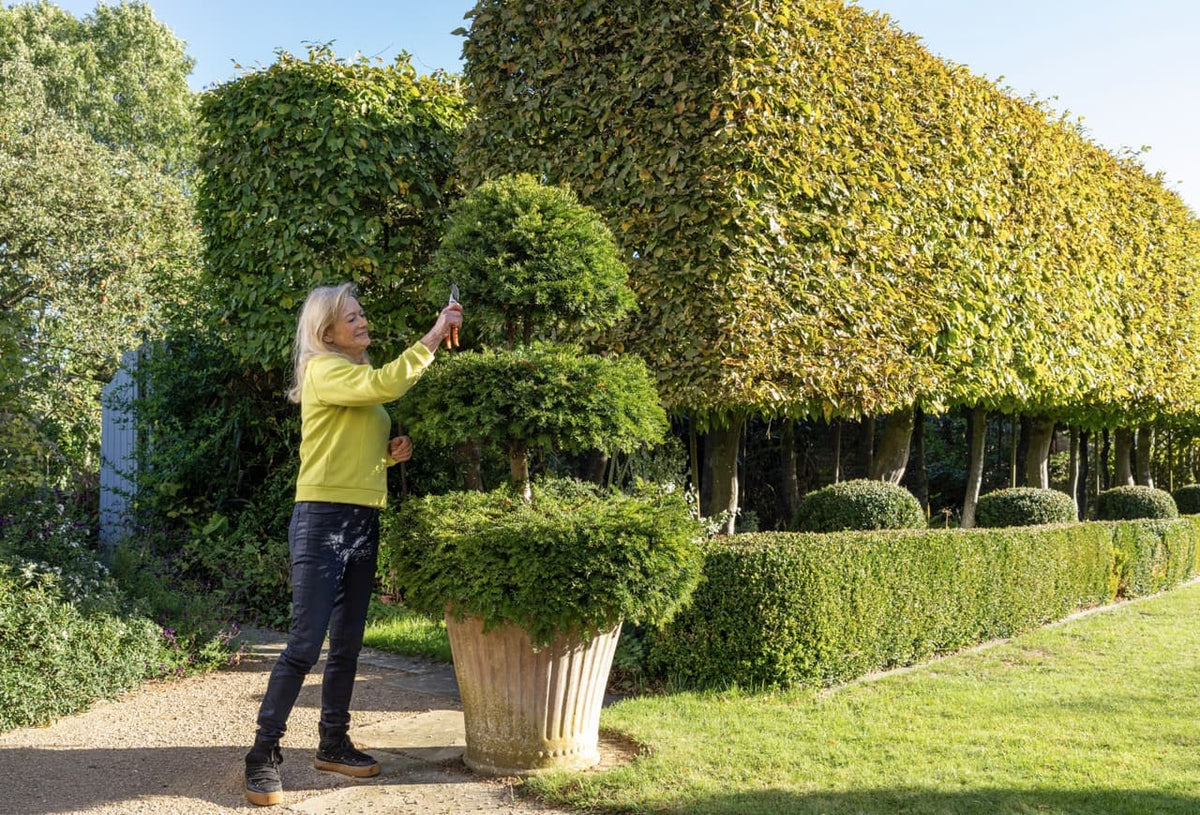 Landscape Architect Bunny Guinness On Her 35 Year Career In landscape-architect-bunny-guinness-on-her-35-year-career-in