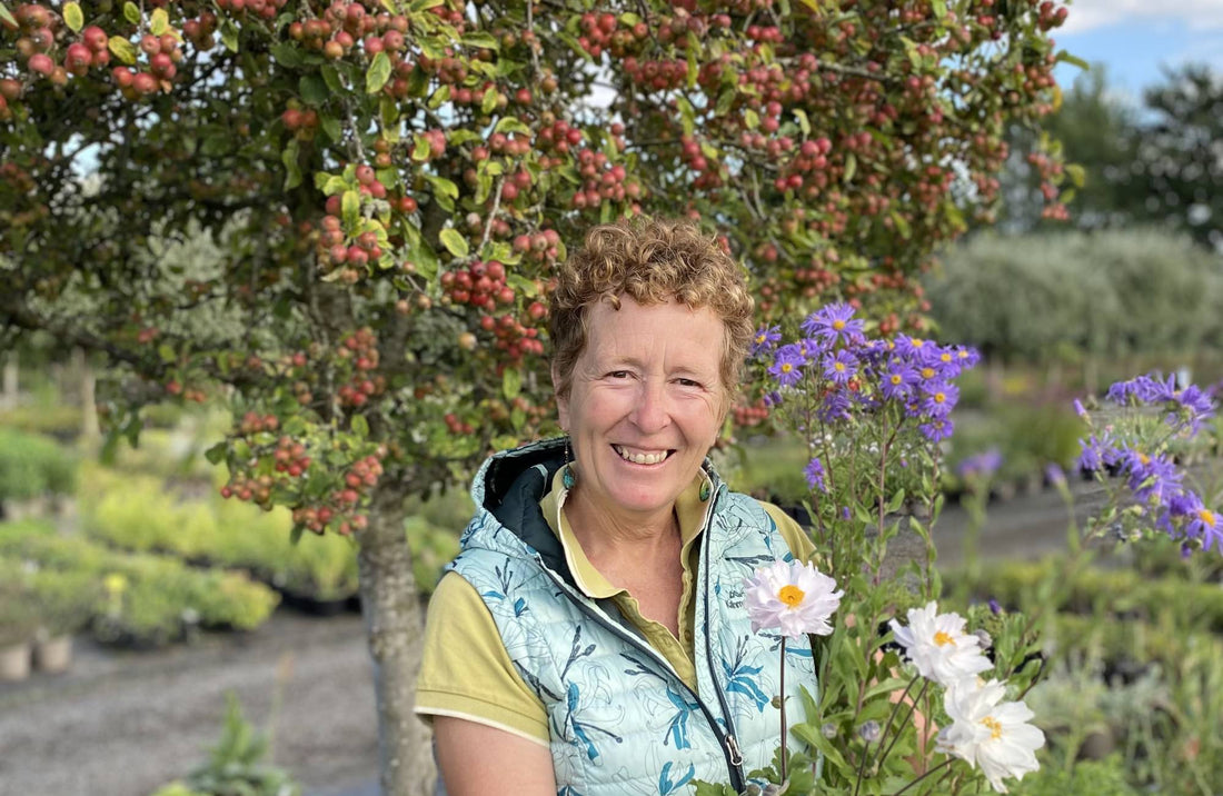Rosy Hardy in the garden holding up potted plants