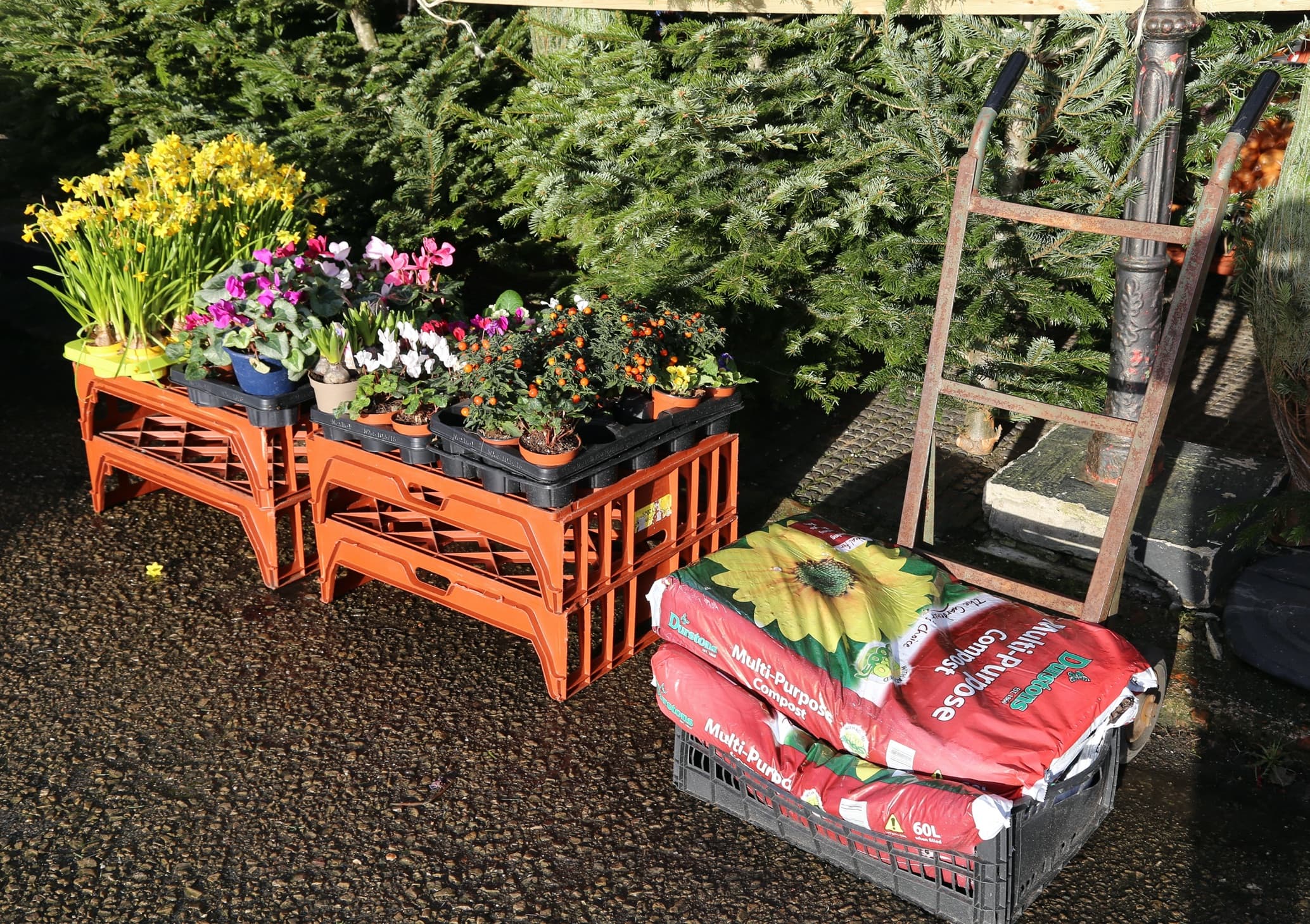 compost and plants in a garden centre