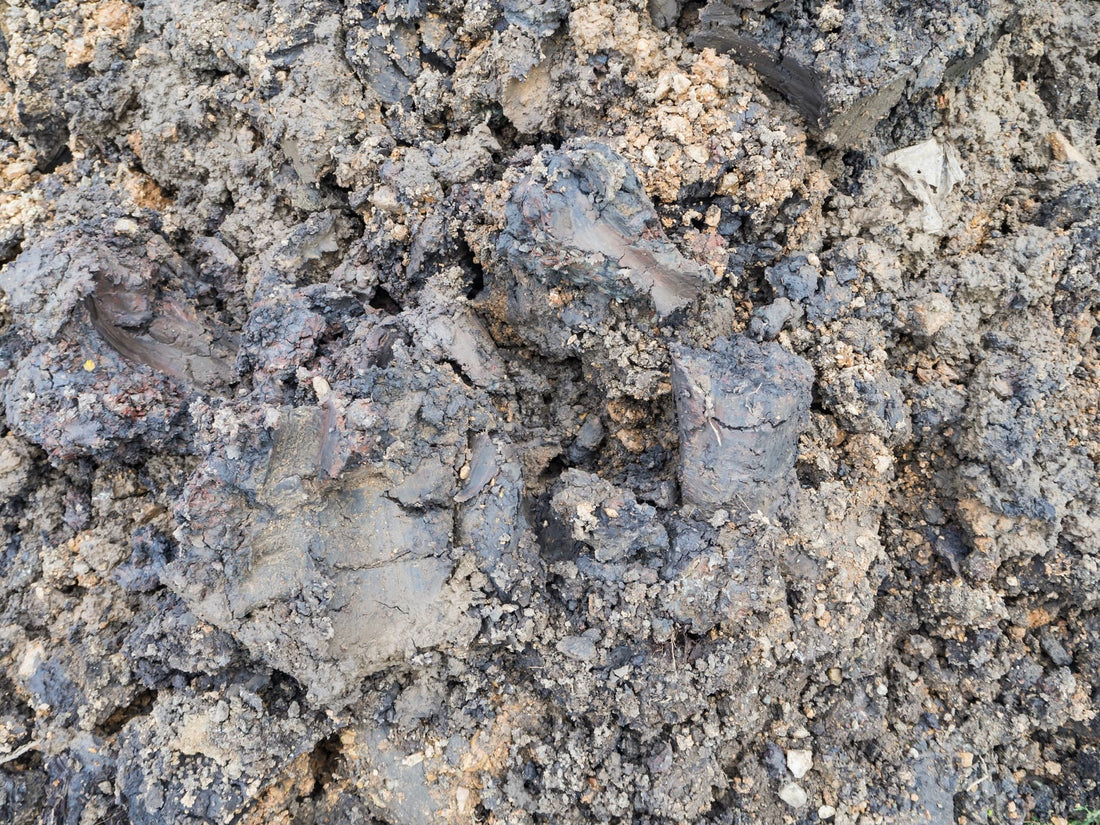 compact clay soil that has been dug up