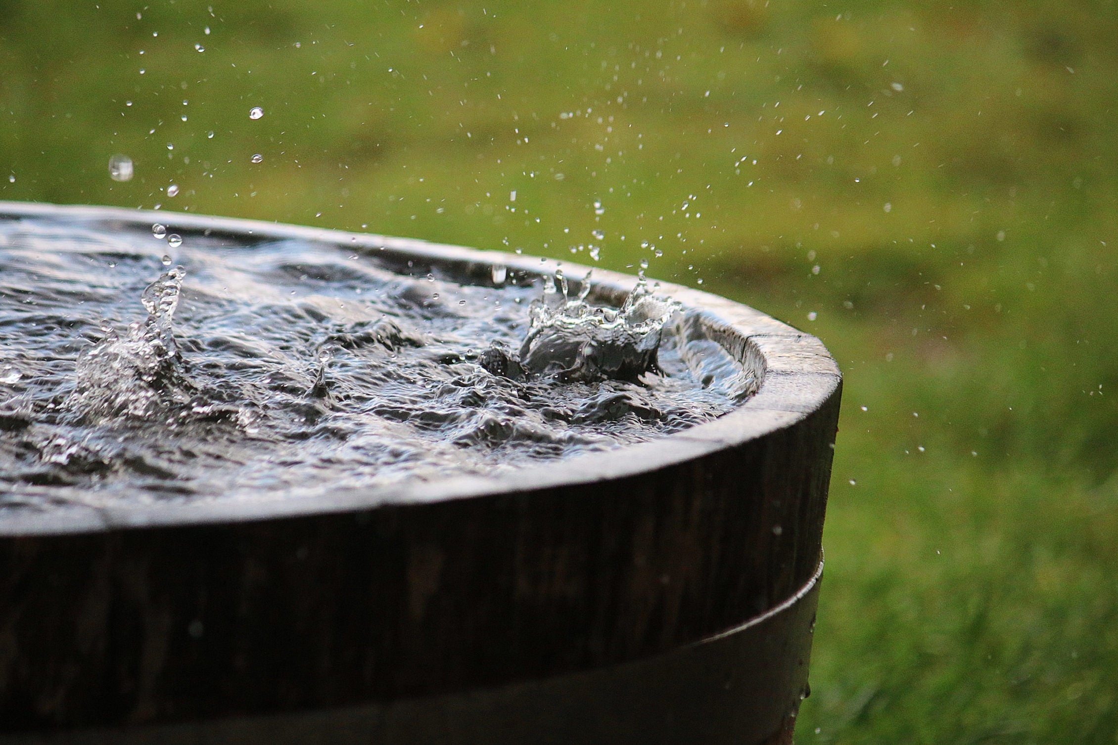 a barrel full of rainwater stillbeing filled by droplets in front of some grass