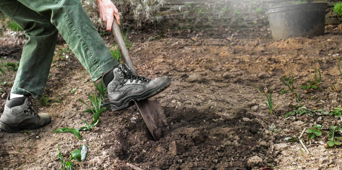 gardener digging soil for planting