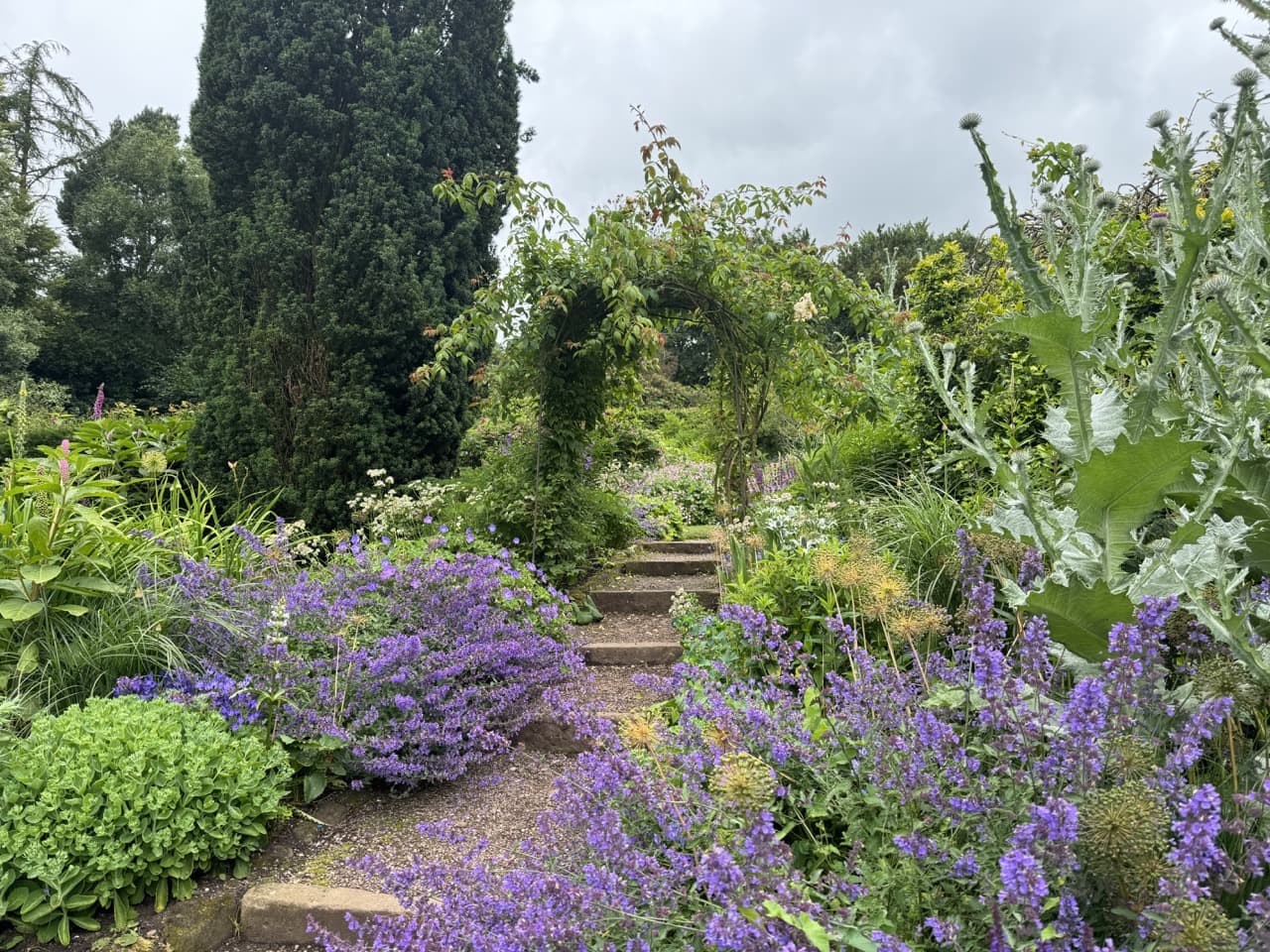 a pergola covered in green foliage in a herbaceous border with purple and white flowering plants