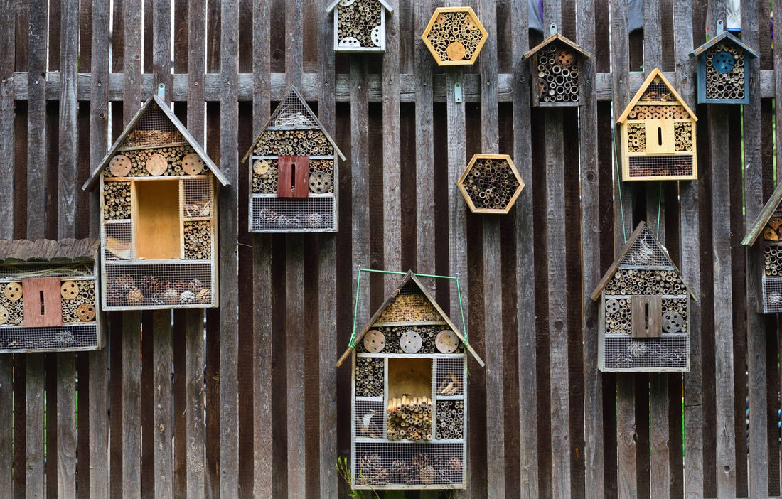 various bug hotels hanging from a wooden fence