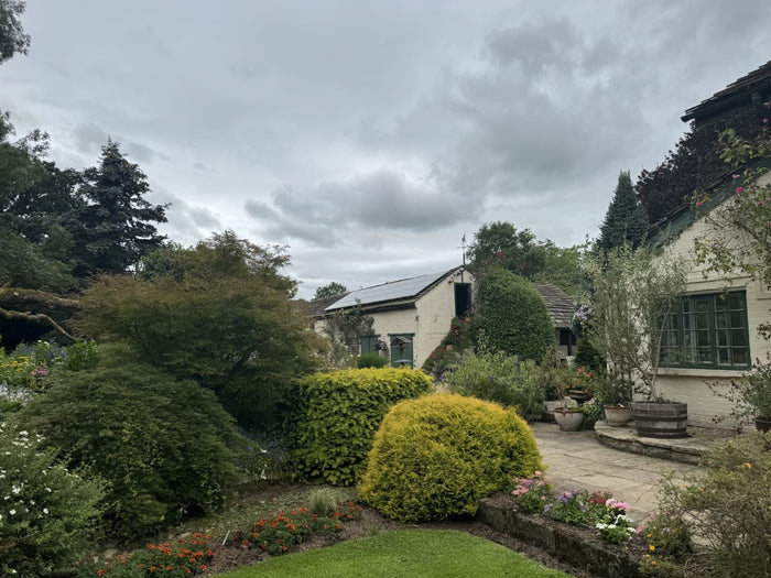 Fifty Years Of Growing At Rowley House With Tim Foden: Unique Trees And ...