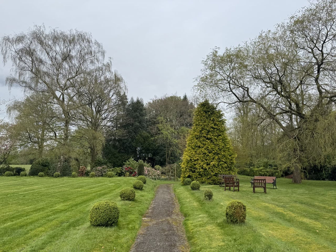 the garden at Parvey Lodge with mowed lawns and topiary boxes