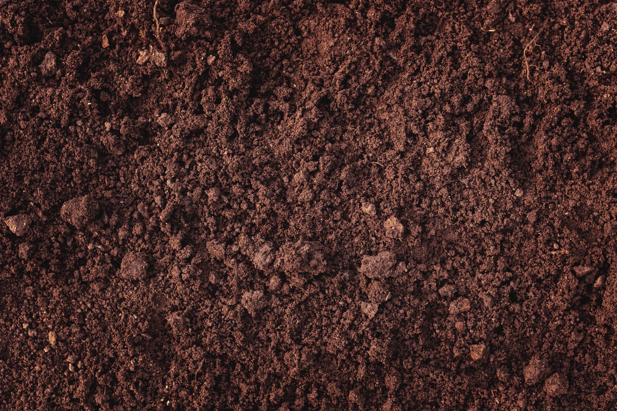 fertile loam