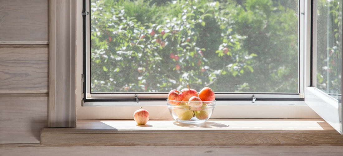 view from a window overlooking a garden, with a bowl of fruit on the windowsill