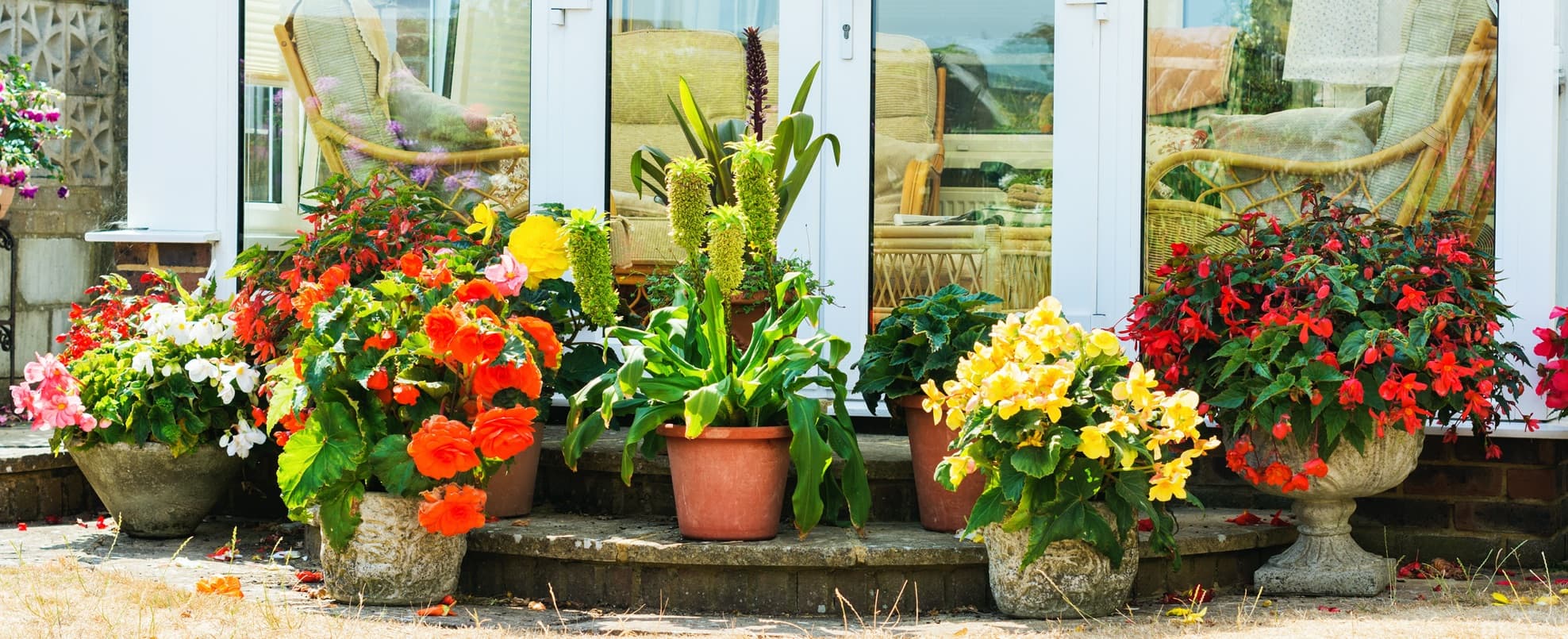 various plants sat in pots on a garden patio