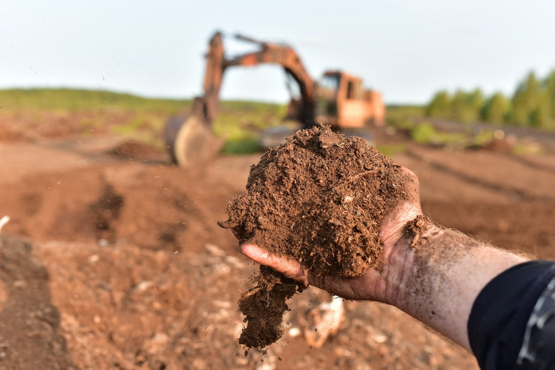 compost being harvested from peatland bog