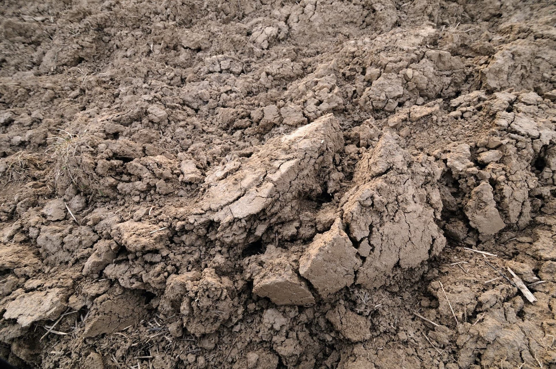 very heavy clay soil