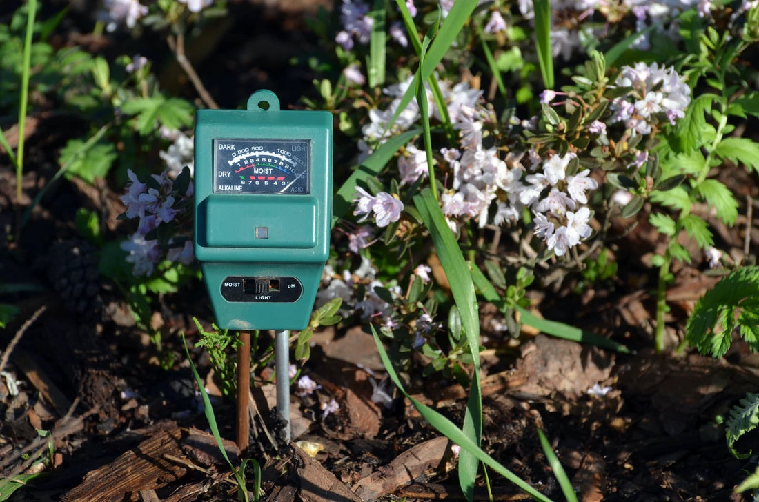 electronic soil tester in the ground