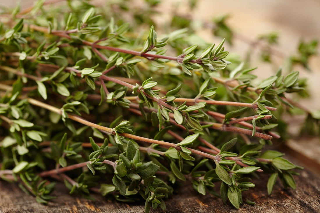 harvested thyme on a table indoors with brown stems and small green leaves