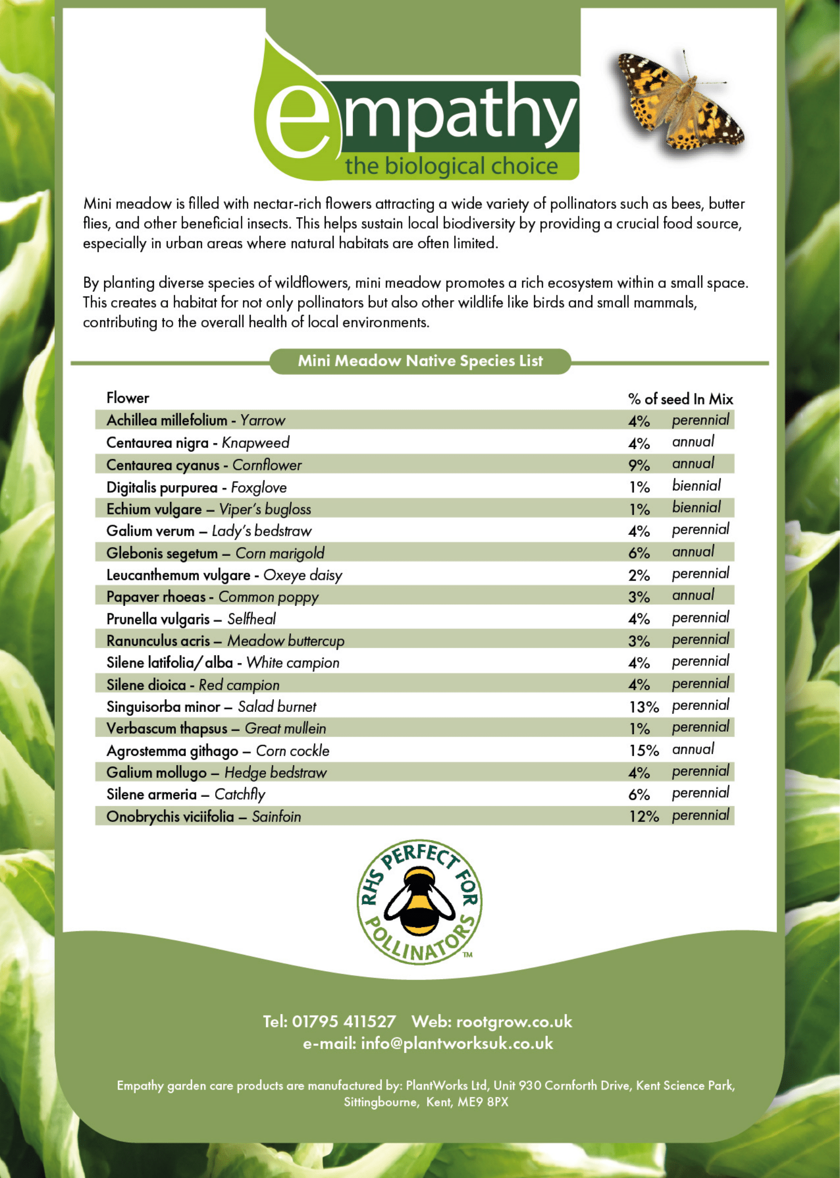 Empathy Mini Meadow Easy Sow Wildflower Seed