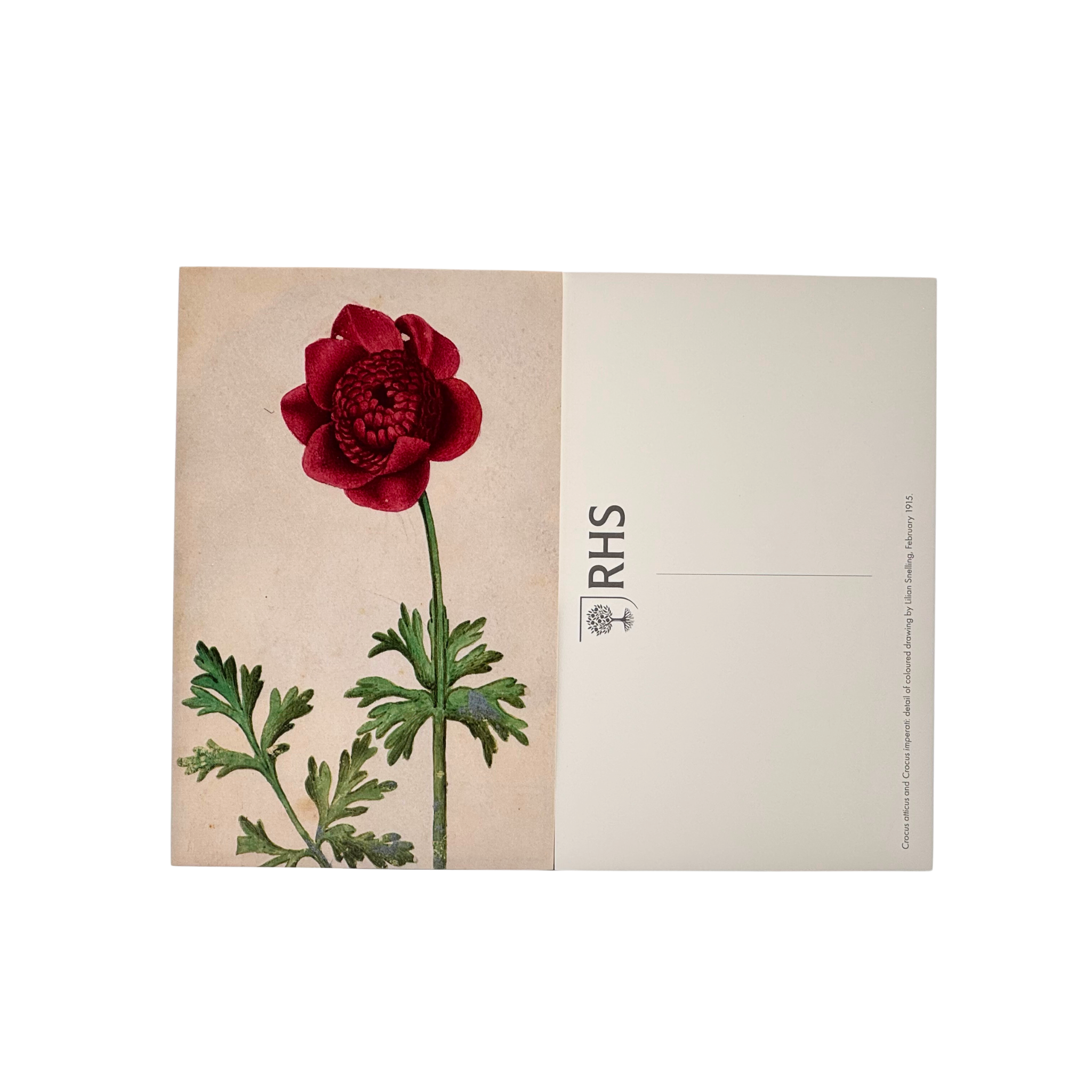 RHS 100 Flowers / 100 Postcards