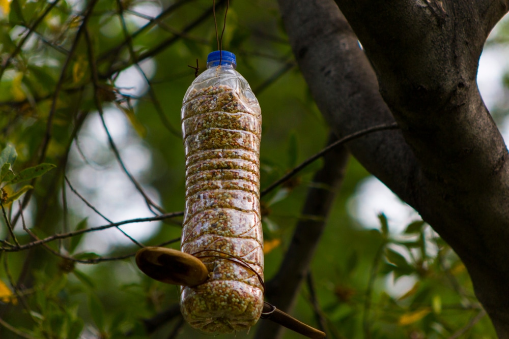 DIY plastic bottle bird feeder