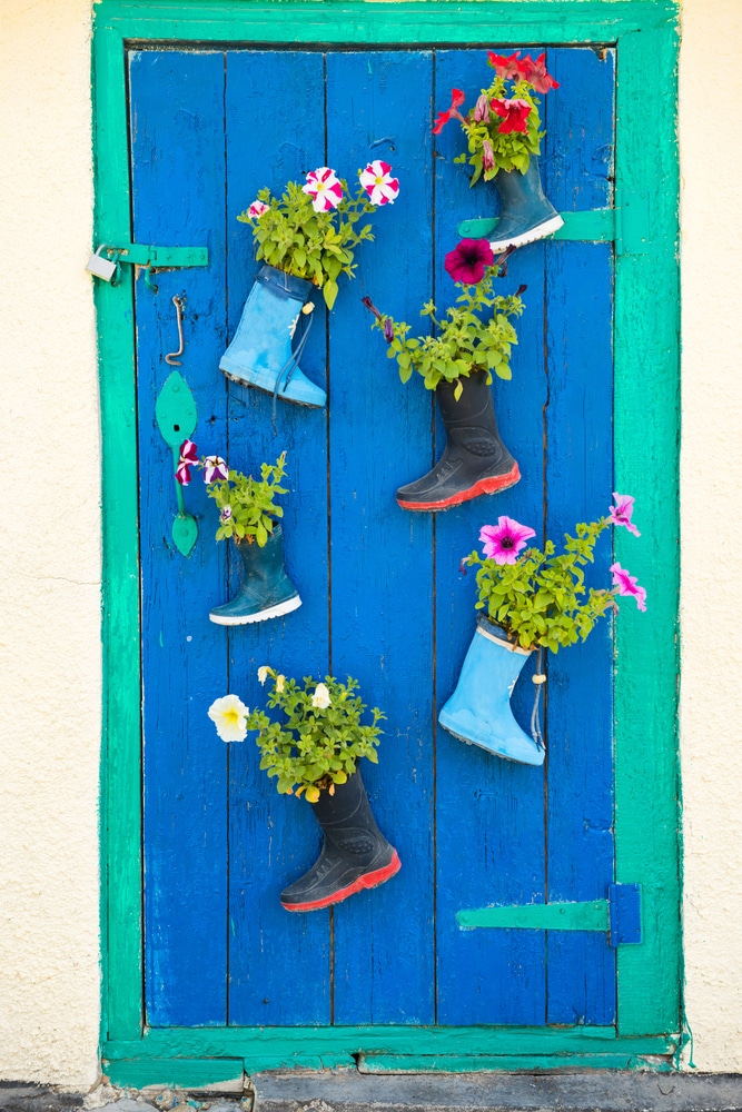 Plants grown in recycled wellies