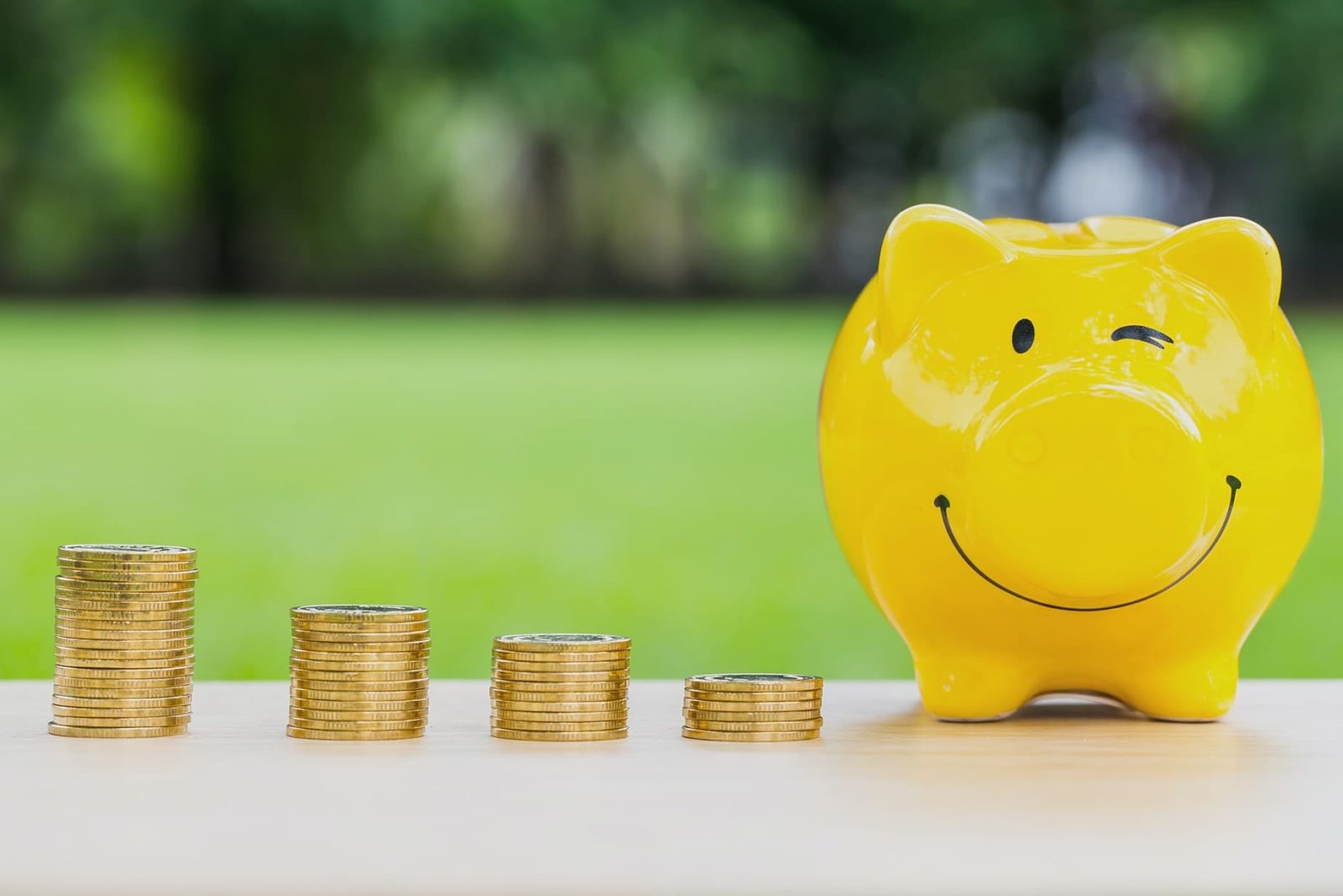 piggy bank sat in front of garden lawn