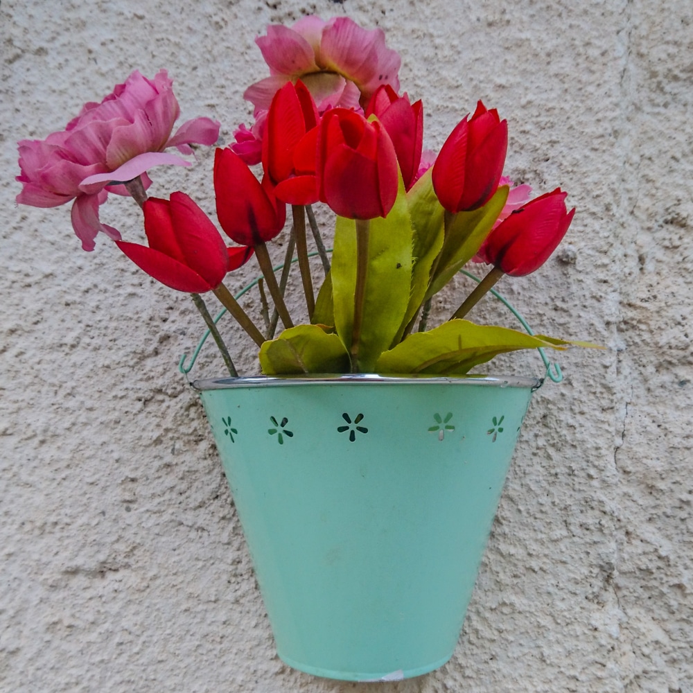 red and pink tulips in green basket fixed to a white wall