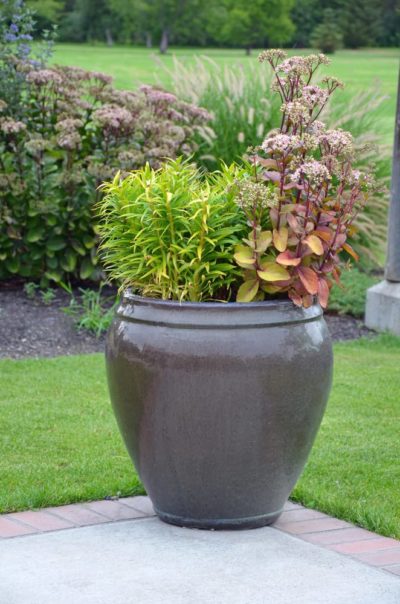 17 Outdoor Planter Ideas For Your Garden | Horticulture.co.uk