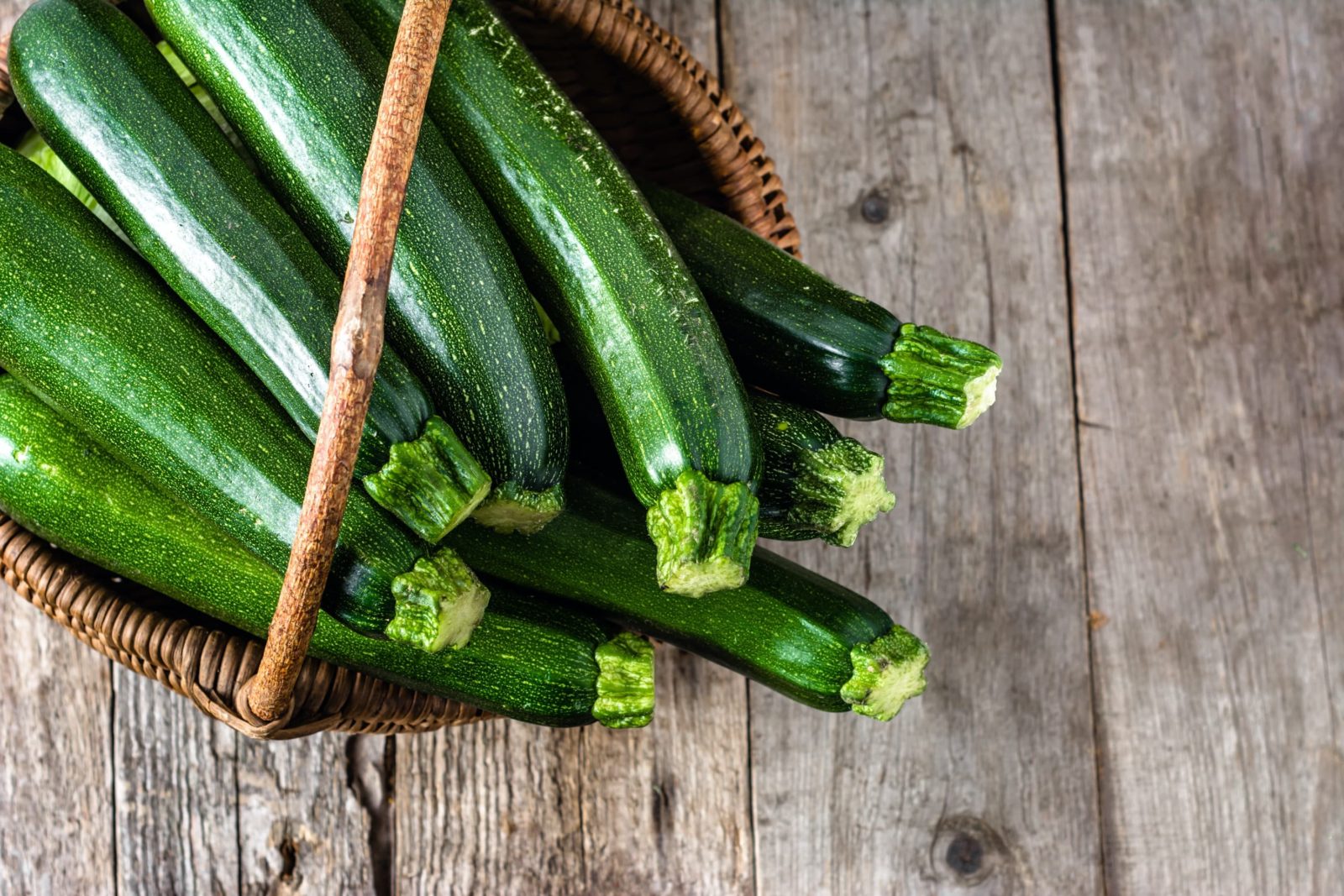 How To Grow Courgettes Plant Care Tips Horticulture co uk