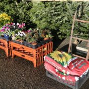 compost and plants in a garden centre