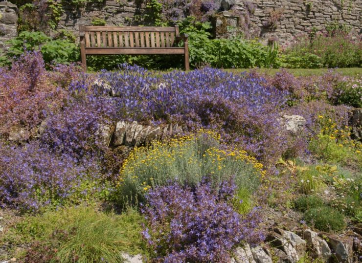Learn To Grow An Alpine Rock Garden With Inspiration From RHS Harlow
