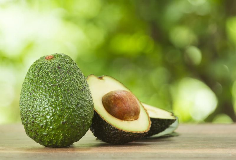 How To Grow An Avocado Stone In 6 Steps Horticulture.co.uk