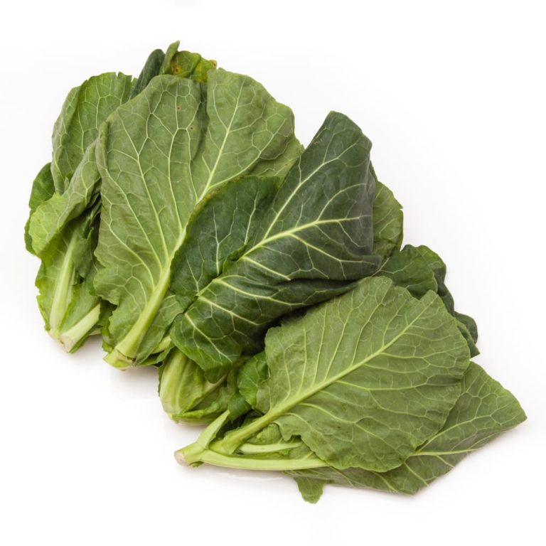 How To Grow Spring Cabbage At Home Horticulture.co.uk
