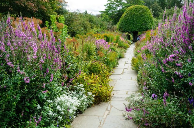 How To Create A Stunning Herbaceous Border Horticulture