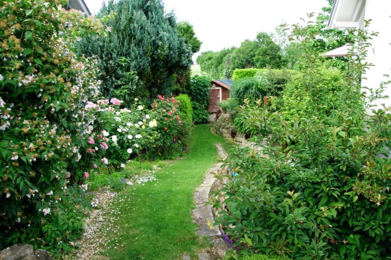 How To Get Privacy In An Overlooked Garden Horticulture.co.uk