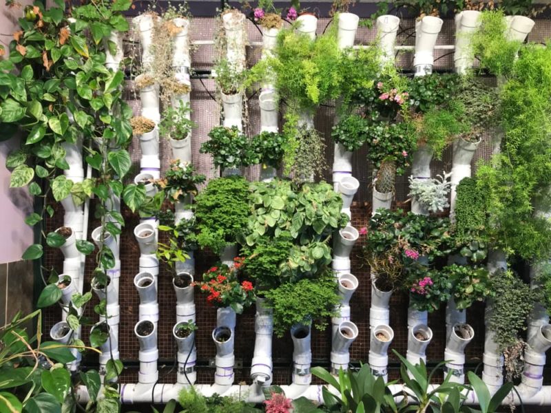 10 Herb Garden Ideas - Indoors & Outdoors | Horticulture.co.uk