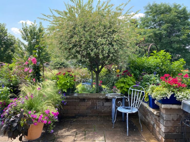 How To Get Privacy In An Overlooked Garden Horticulture.co.uk