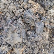 compact clay soil that has been dug up