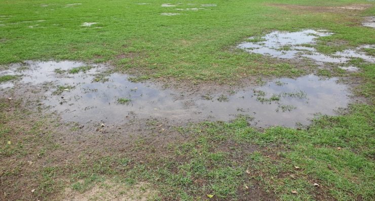 10 Drainage Solutions For Waterlogged Gardens | Horticulture