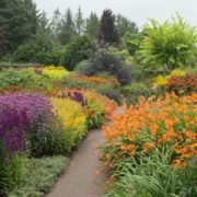 a path leading alongside a colourful herbaceous border with Crocosmia, Monarda and Coneflowers