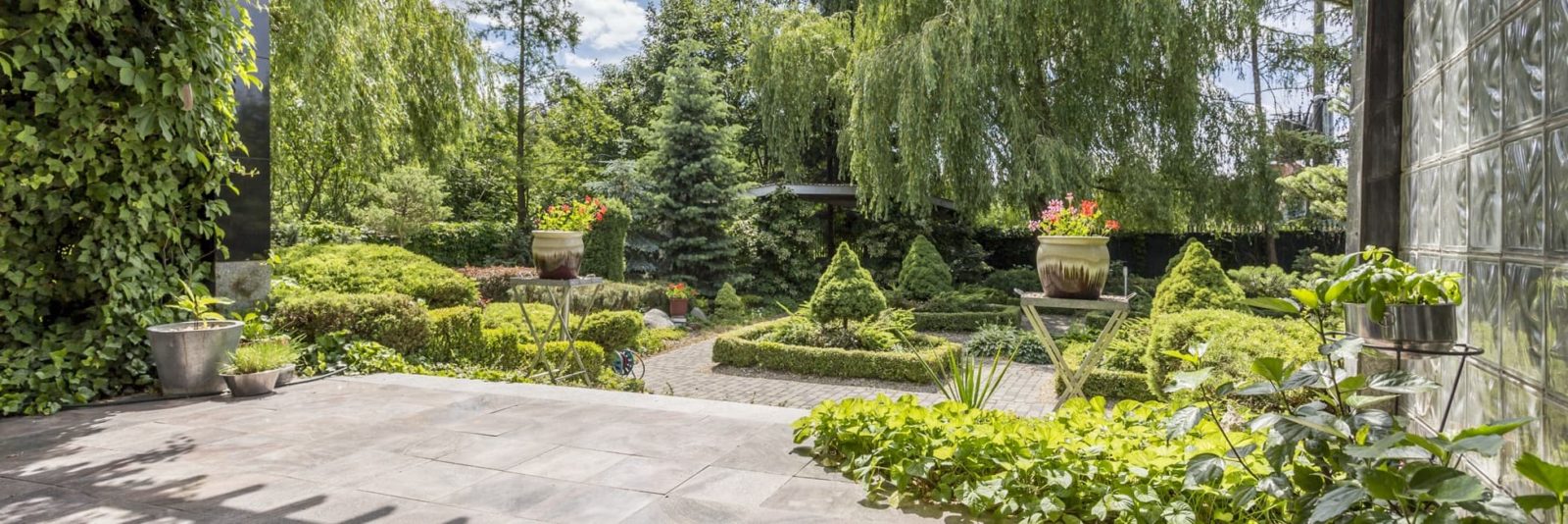a garden patio with plants growing all around