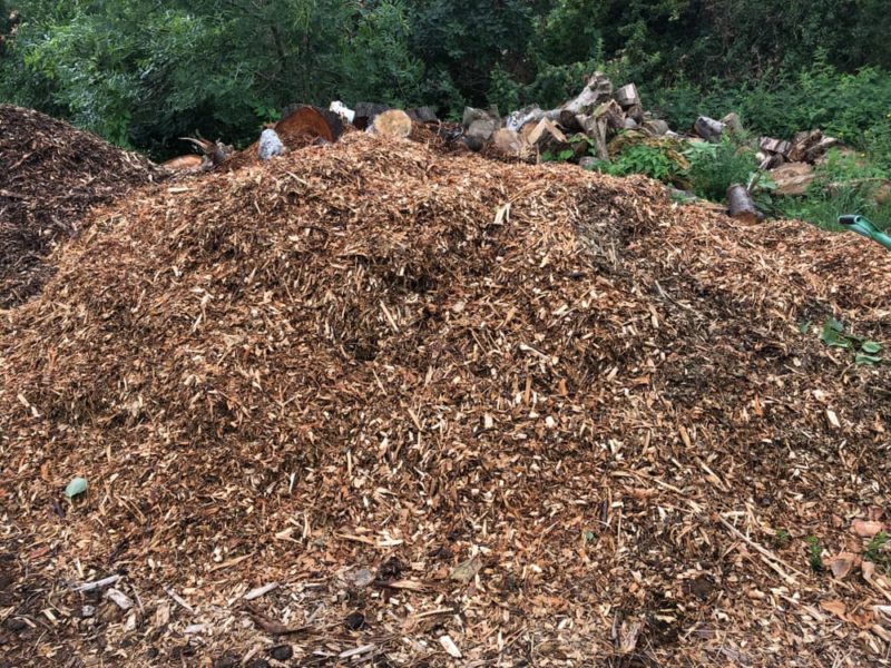 Here Are 8 Resourceful Ways You Can Use Wood Chips In The Garden