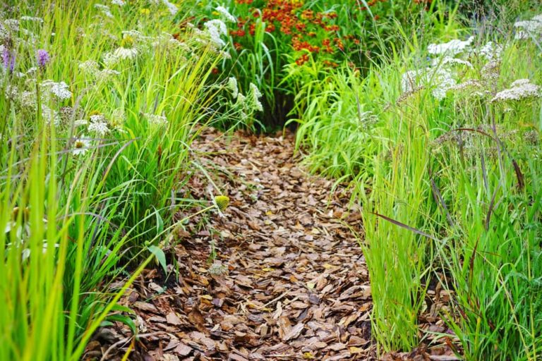 8 Ways To Use Wood Chips In Your Garden Horticulture.co.uk