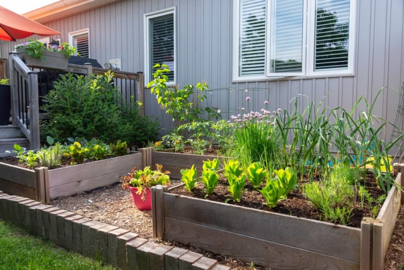 9 Medium-Sized Garden Ideas You'll Love | Horticulture.co.uk