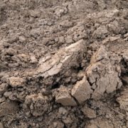 very heavy clay soil