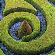 spiral topiary shapes in a garden